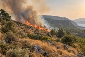 why wildfires are getting worse explained