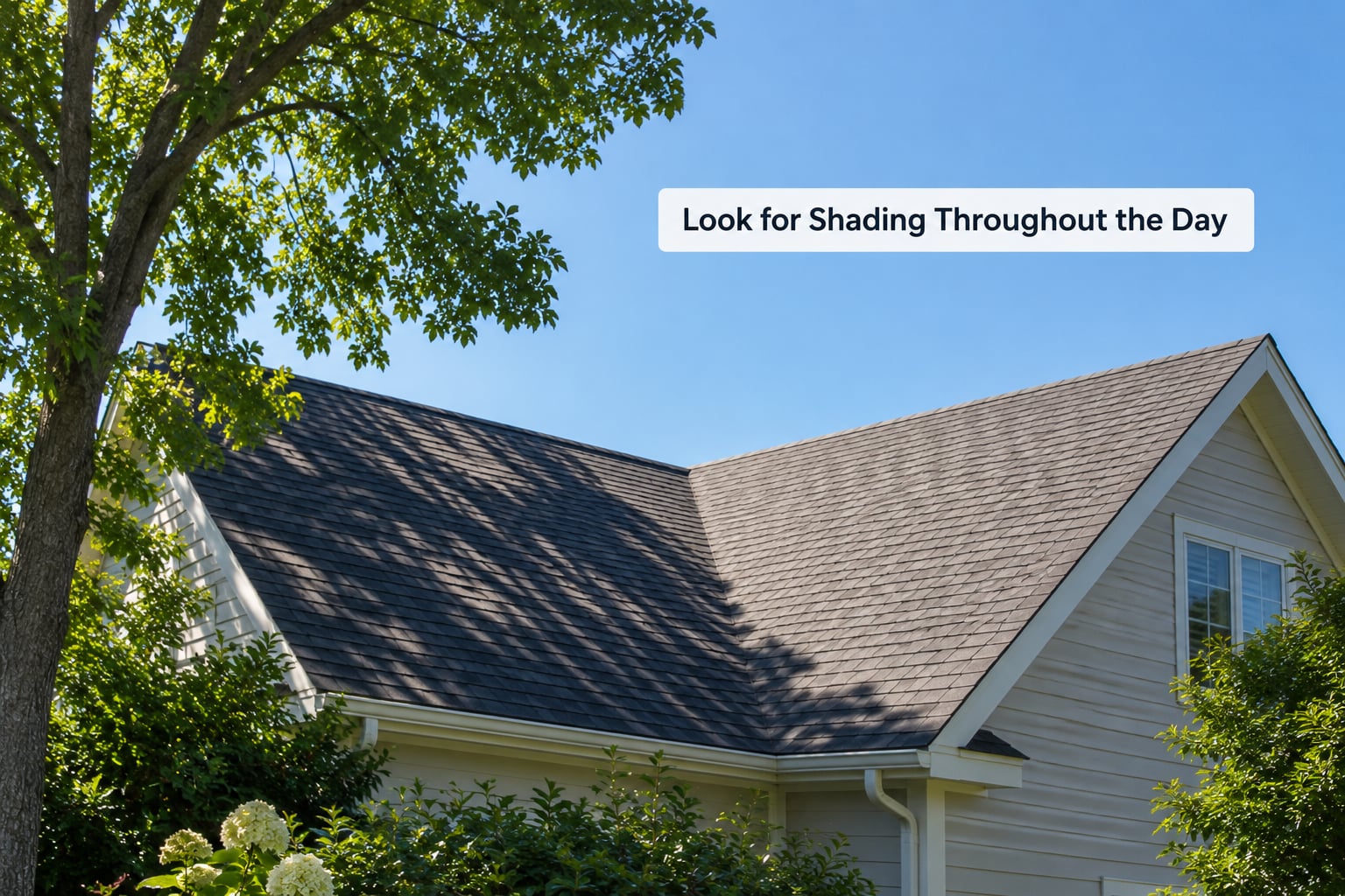 Look for Shading Throughout the Day
