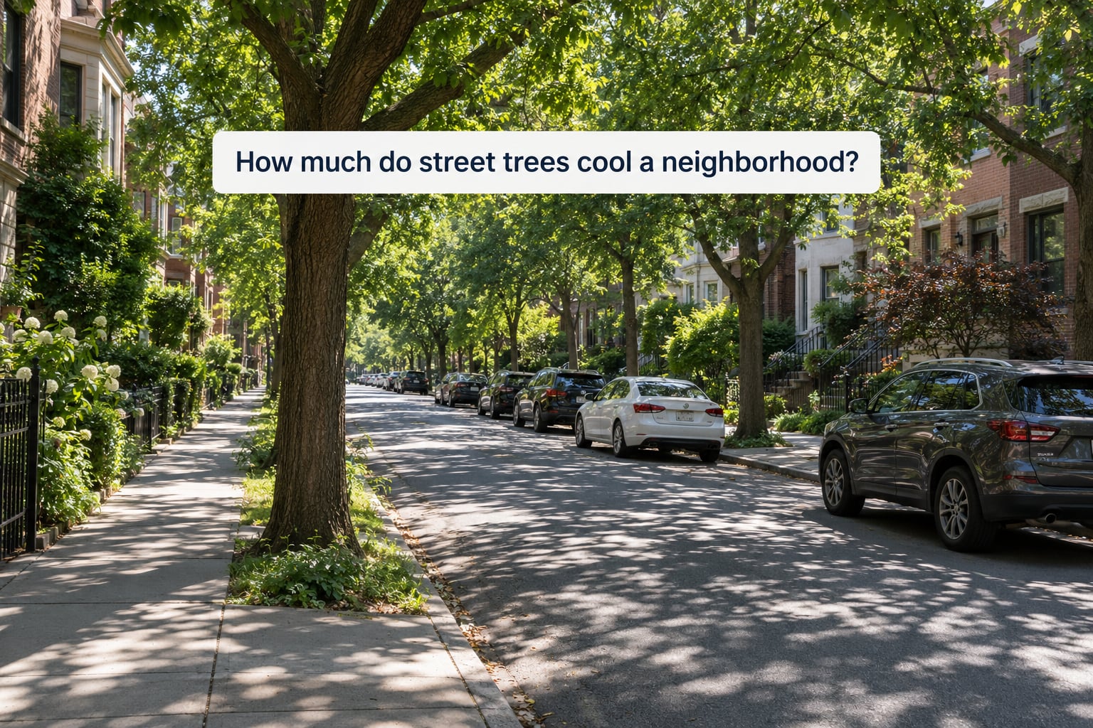 How much do street trees cool a neighborhood?