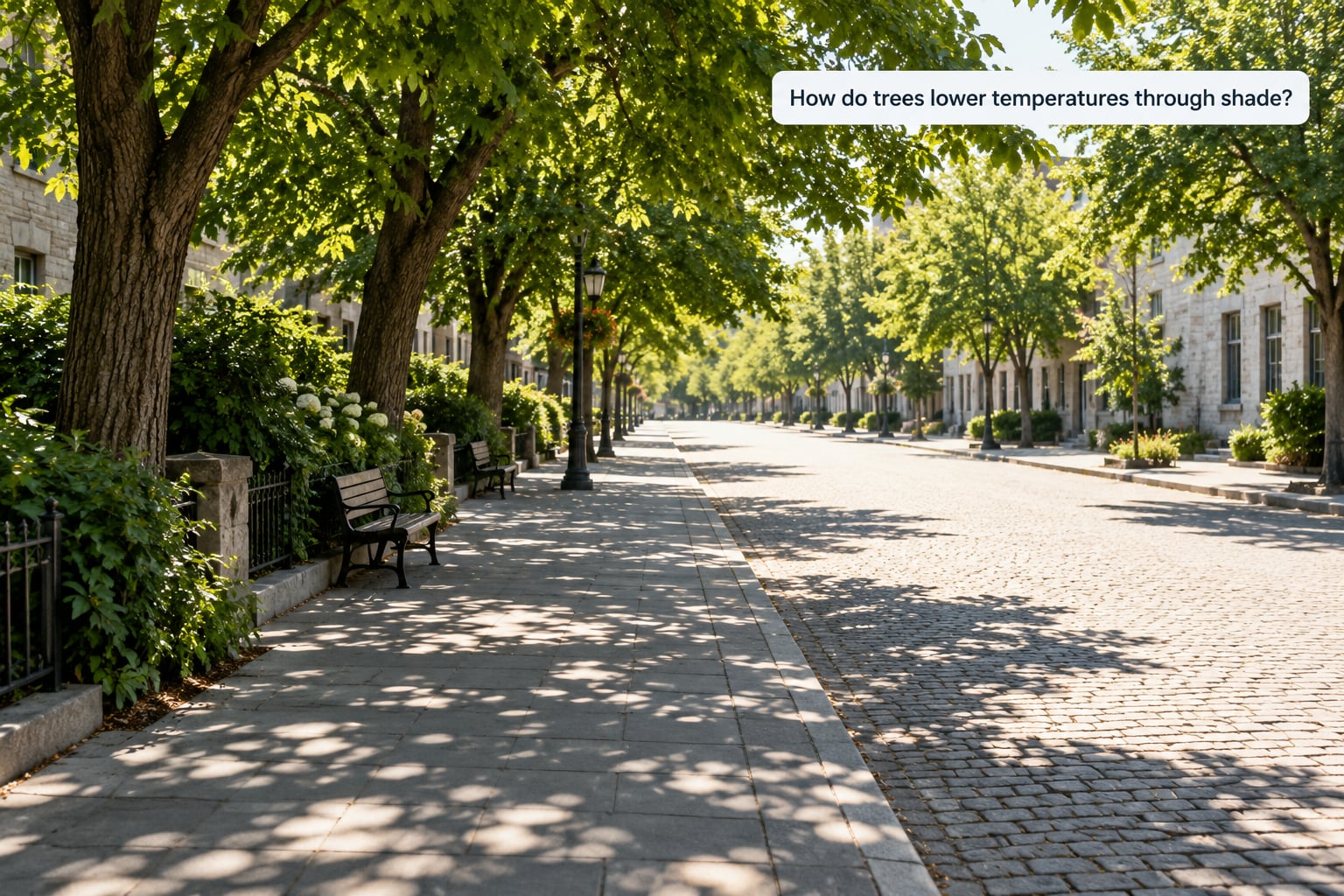 How do trees lower temperatures through shade?