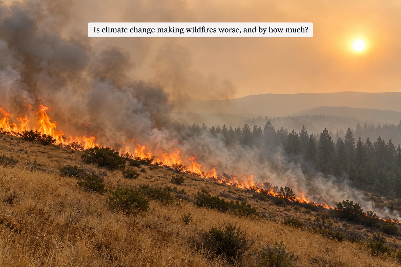 Is climate change making wildfires worse, and by how much?